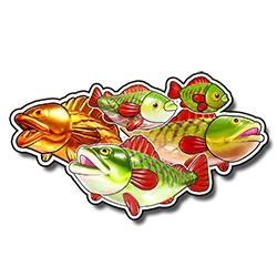 Big Bass Splash Money Fish symbols